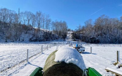 Winter’s Impact on Life and Business at Longbottom Farm
