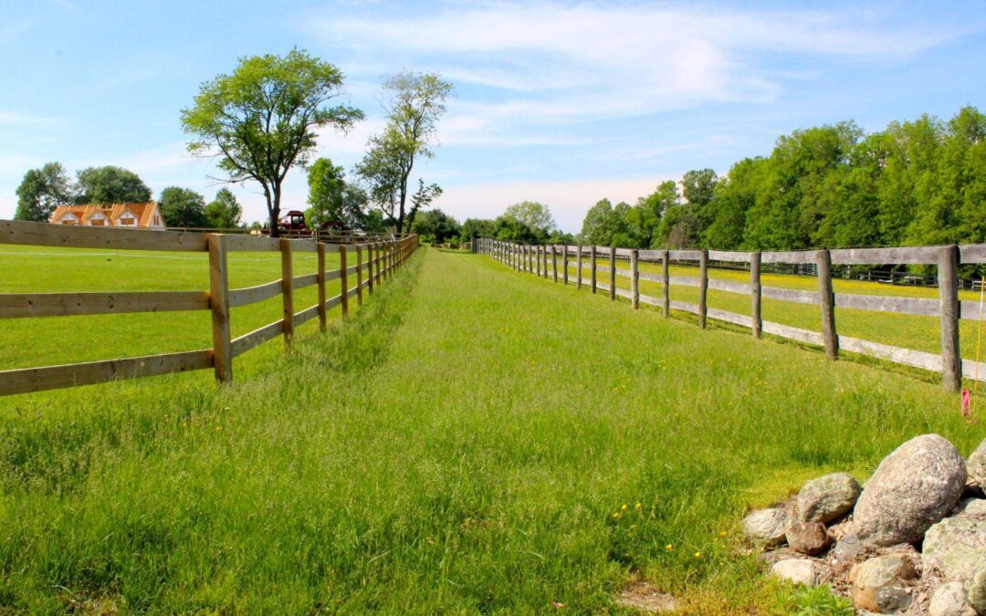 Is There a Romantic Side to Farming?