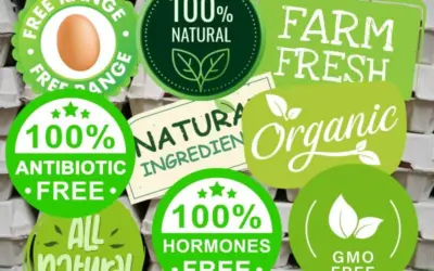 Your Customers Deserve the Truth About Eggs—Will They Hear It from You?