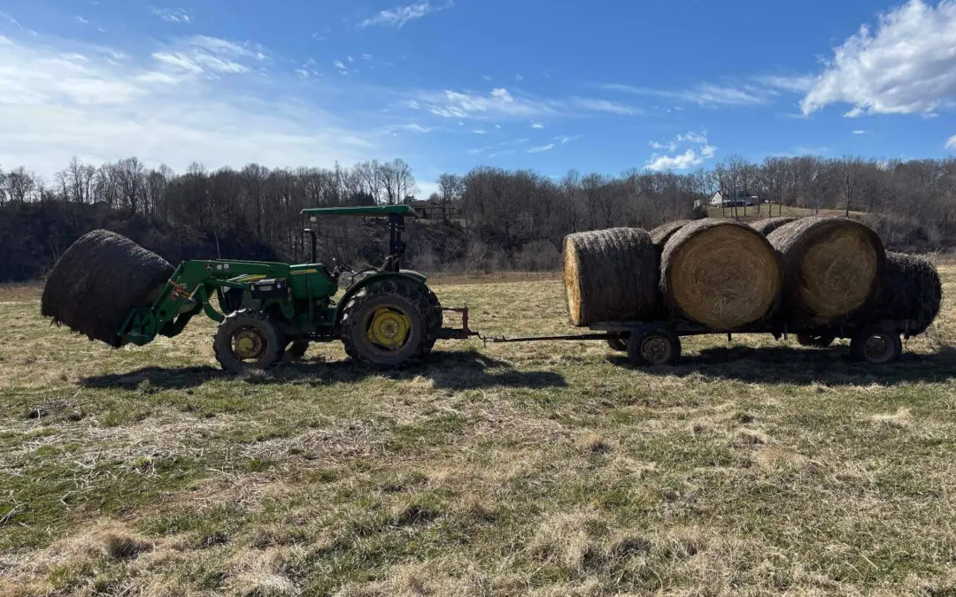 How I’m Growing My Farm (And Myself) in 2025