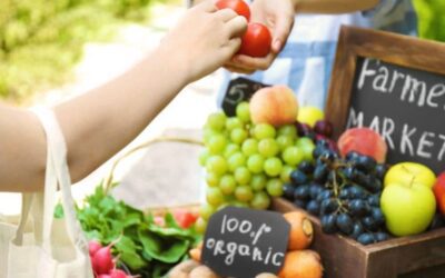 Should You Do a Farmers Market? Here’s the Honest Truth