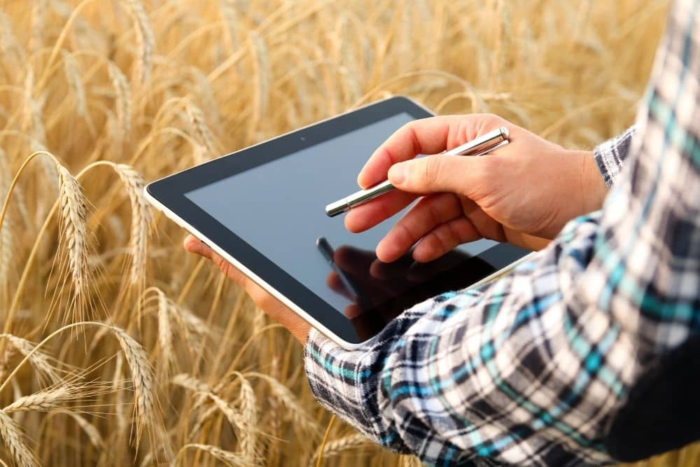 computer to manage farm website business farmer using website to manage store and business - set in pasture