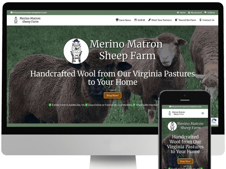 Merino sheep grazing on pasture at Merino Matron Sheep Farm in Scottsville Virginia