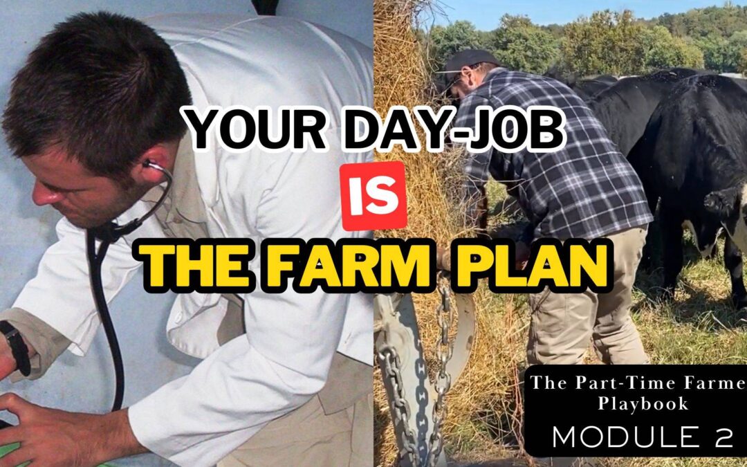 Why We Kept Our Jobs When We Started Farming