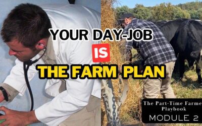 Why We Kept Our Jobs When We Started Farming