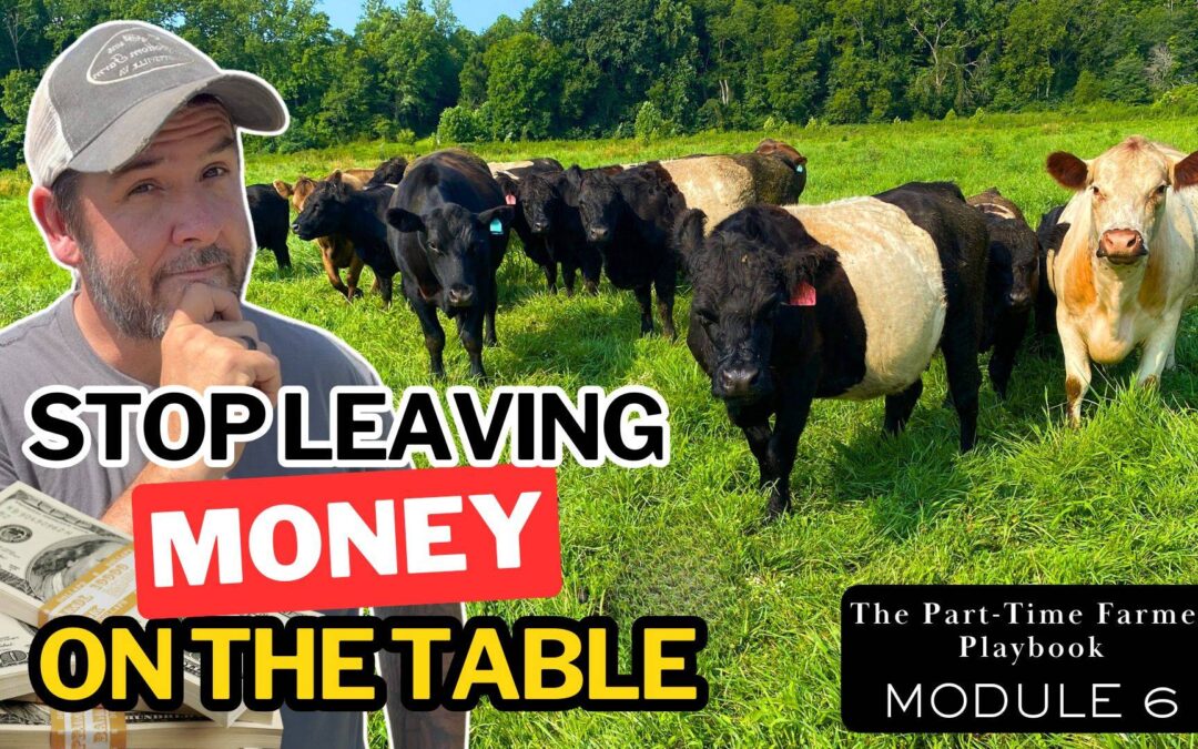 Farm product pricing strategy for direct-to-consumer small farms.