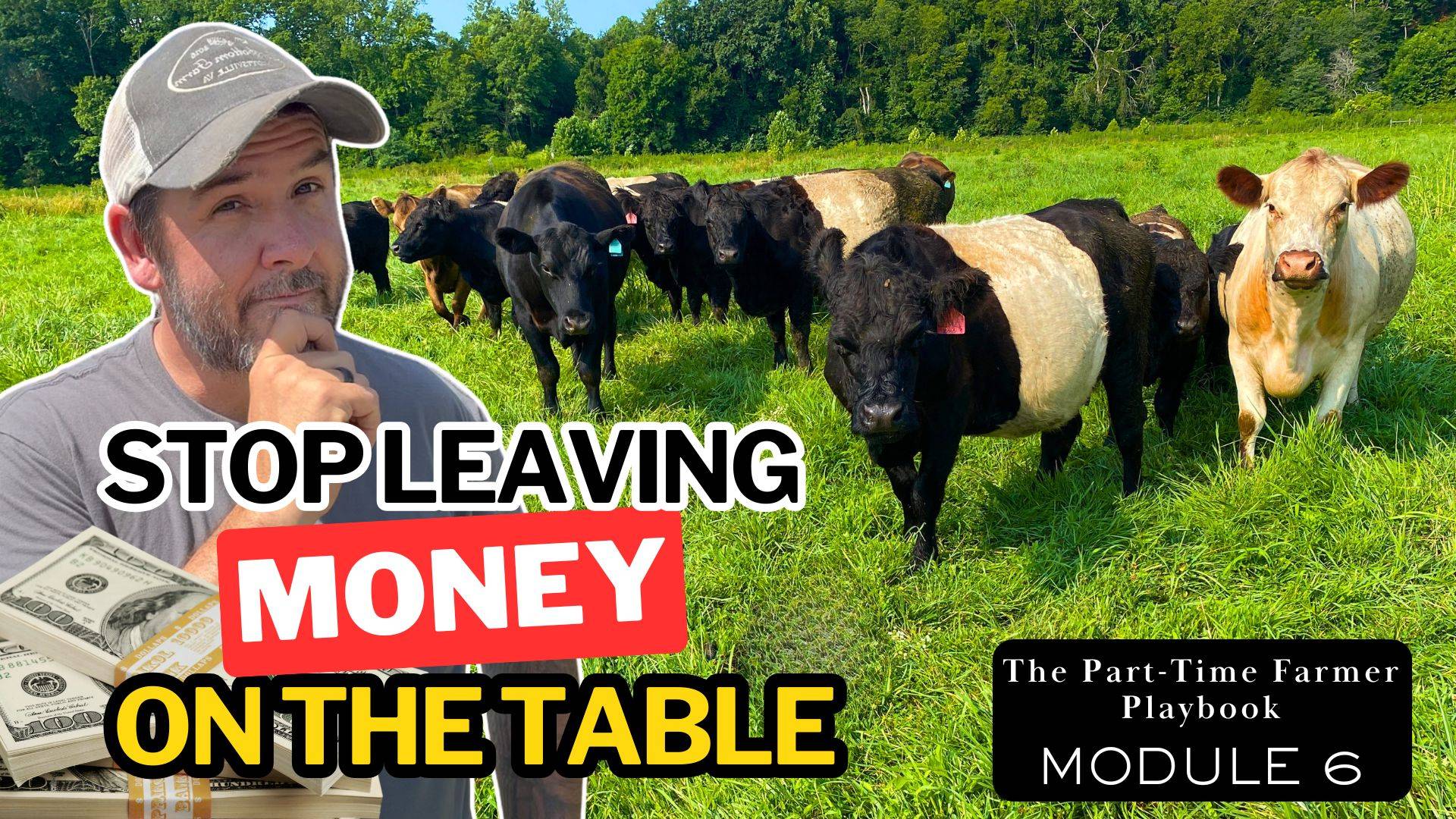 Farm product pricing strategy for direct-to-consumer small farms.
