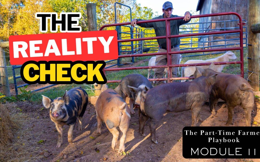 Farmer managing pasture-raised pigs at a gate on a small family farm — The Reality Check, Module 11 of the Part-Time Farmer Playbook on building a profitable farm business