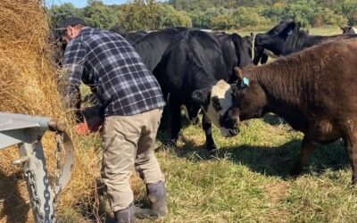 Quit Your Job and Farm! (Here’s the Part Nobody Says)